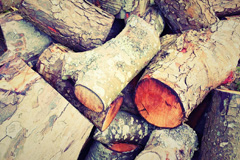 Worthy wood burning boiler costs